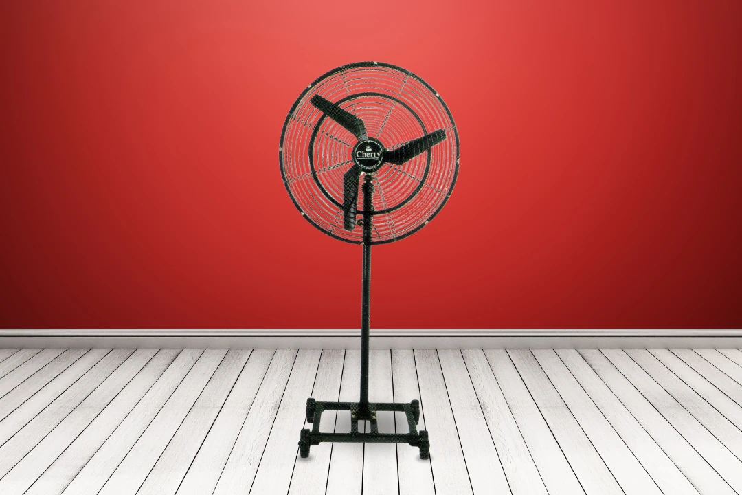 Pedestal Fan CH 109C