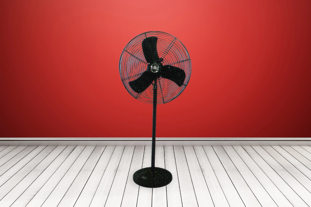 Pedestal Fan CH 119B