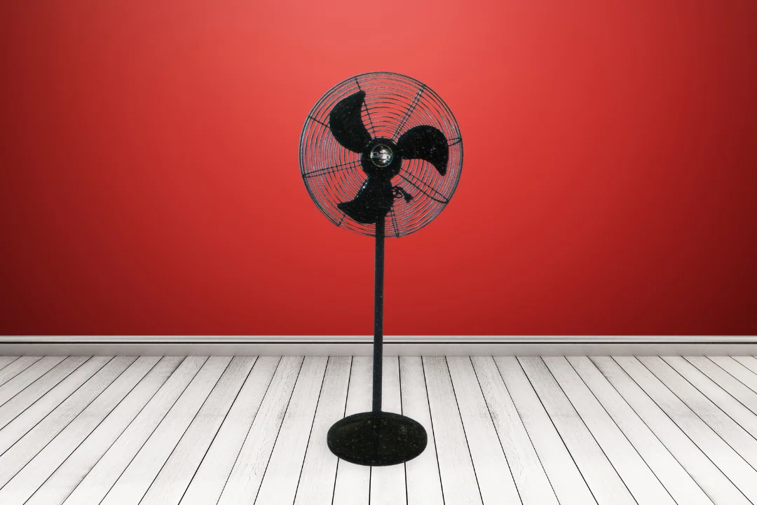 Pedestal Fan CH 119C
